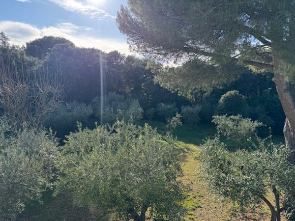 Villeneuve-lès-Avignon (30400) Maison de charme de plain pied