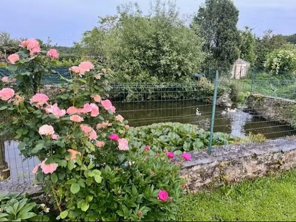 Rezé plain-pied sur son beau jardin 595 000 € FAI 3415MG – nantes Sud Immobilier