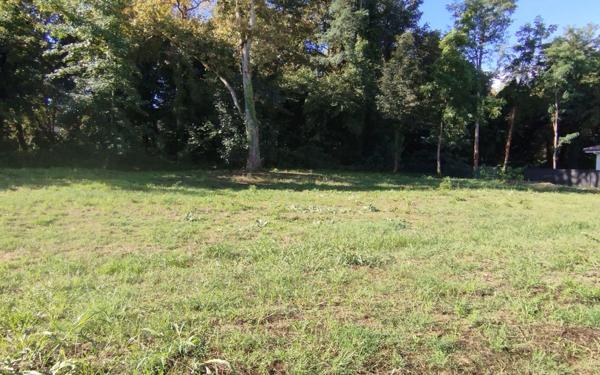 Terrain à vendre    Mont-de-Marsan