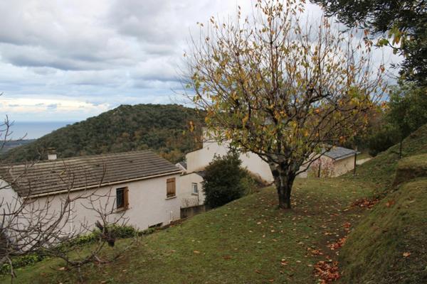 Belle maison 5 pièces avec sublime vue mer et montagne PENTA DI CASINCA (20)