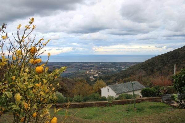 Belle maison 5 pièces avec sublime vue mer et montagne PENTA DI CASINCA (20)
