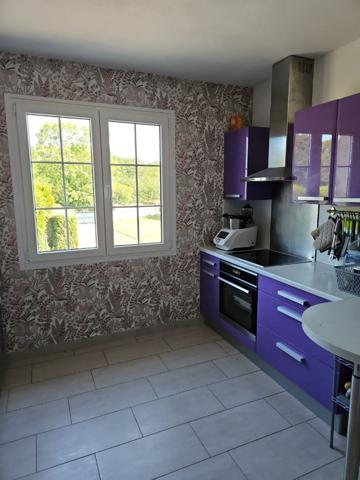 Maison individuelle à CHATEAU-RENARD (45220)