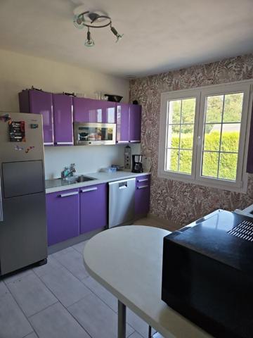 Maison individuelle à CHATEAU-RENARD (45220)