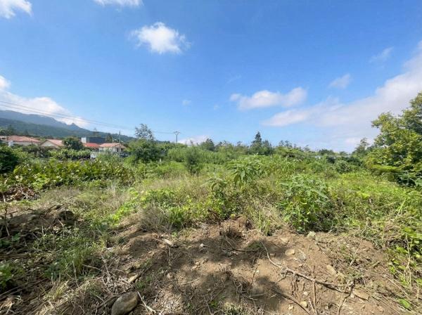 🌿 TERRAIN CONSTRUCTIBLE 640 m² (LOT A) – PLAT - ACCÈS DIRECT – 125,00 €/m2 – SAINT-JOSEPH