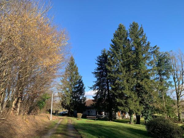 Jolie maison Bressane à rénover avec belle vue dégagée
