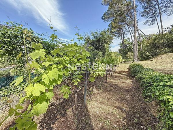 A VENDRE -Maison Le Cannet Des Maures 6 pièces 156 m2-Terrain 3580m2- Piscine,Carport,sous-sol