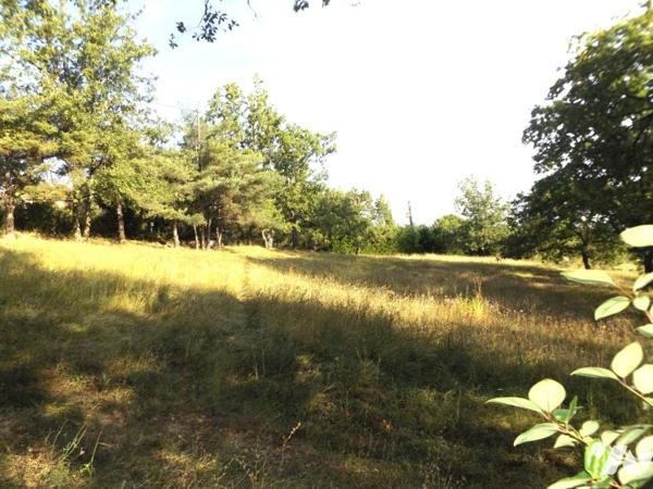 EXLUSIVITE : villa 82 m² plus dépendances sur magnifique terrain au calme