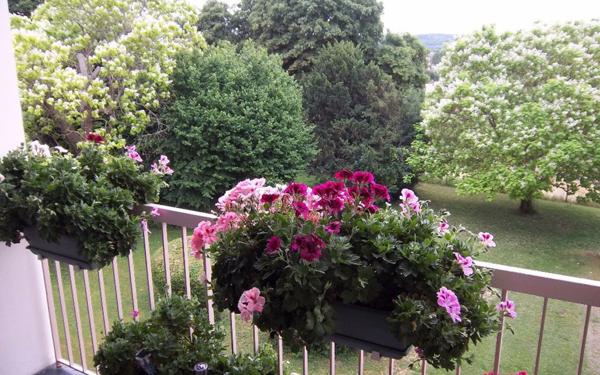 Appartement à vendre    3 pièces • 62 m2 Saint-Aubin-lès-Elbeuf