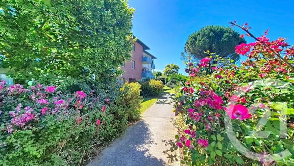 Appartement T2 à vendre  2 pièces - 36 m 2   AUTERIVE  - 31