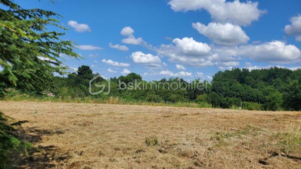 Terrain de 3 560 m²