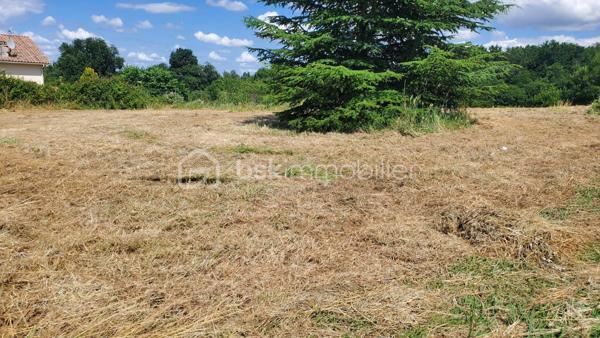 Terrain de 3 560 m²