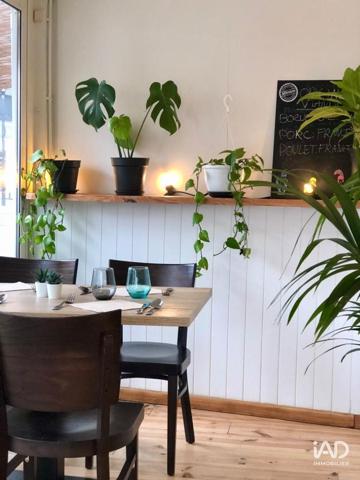 Bar-brasserie à vendre 100 m² Mimizan