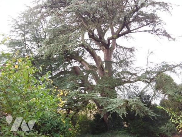 CHARME ET AUTHENTICITE POUR CETTE MAISON BOURGEOISE EN COEUR DE VILLE
BELLE DEMEURE ET SES DEP...