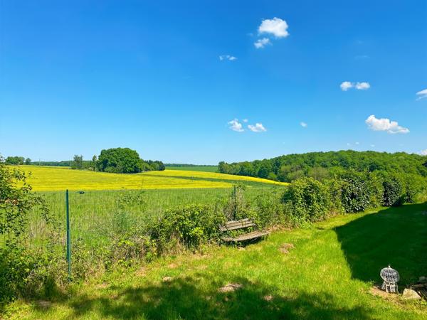 Courtenay (45320) SAINT-HILAIRE-LES-ANDRESIS