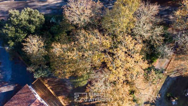 Terrain constructible à 10 km des plages landaises