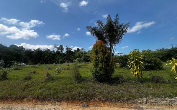 Maison à louer    4 pièces •  Kourou