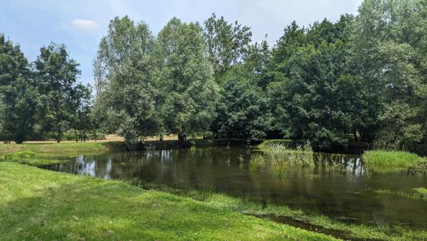 Vente Maison 6 pièces 183 m2 à Aubigny-sur-Nère