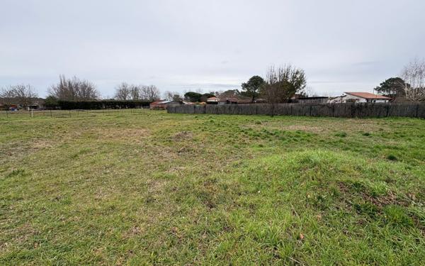 Terrain à vendre    Biscarrosse