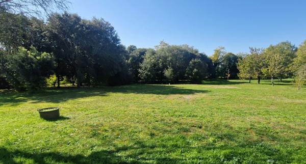 Grande maison à vendre 5 pièces FOUQUEBRUNE (16) + dépendances sur terrain d'env 6800 m2