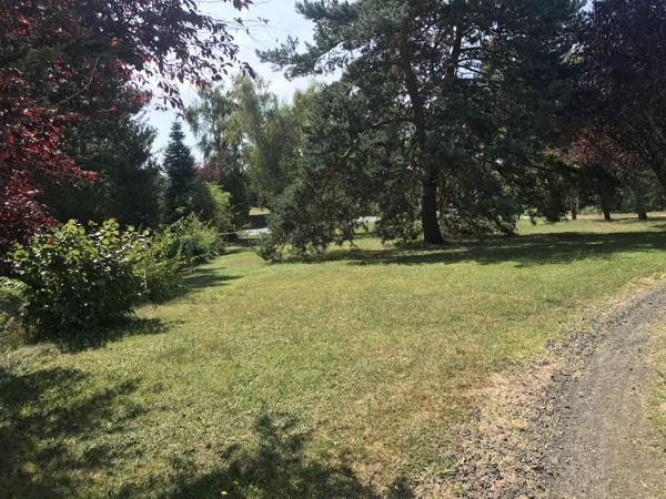 Fonds de commerce ORLEAT 450 m2