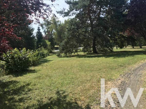 Fonds de commerce ORLEAT 450 m2