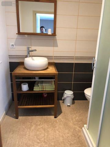 Local mixte (Pro/Hab) à vendre à Saint-Bonnet-de-Salers dans le Cantal (15140), ref : 15060/865