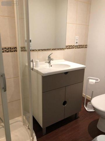 Local mixte (Pro/Hab) à vendre à Saint-Bonnet-de-Salers dans le Cantal (15140), ref : 15060/865