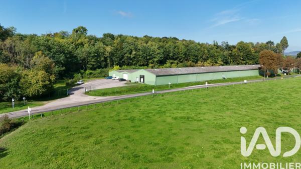 Parking à vendre 7 000 m² Bourbonne-les-Bains