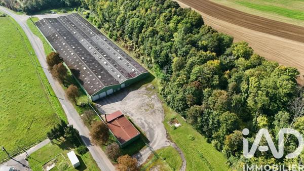 Parking à vendre 7 000 m² Bourbonne-les-Bains