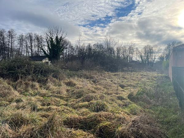 Terrain constructible de 3231 m² à vendre à LAHEYCOURT - Exclusivité NESTENN Bar-le-Duc