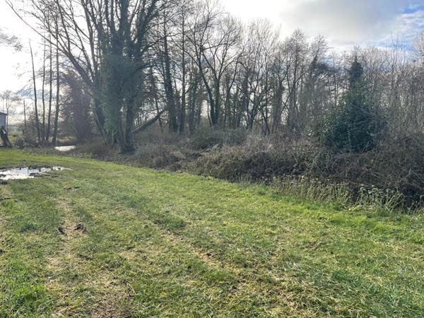 Terrain constructible de 3231 m² à vendre à LAHEYCOURT - Exclusivité NESTENN Bar-le-Duc