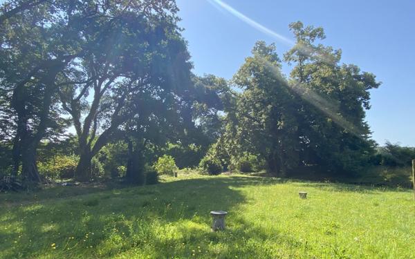 Maison à vendre    6 pièces •  Tilh