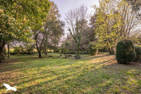 Maison à vendre |                                       Jonzac |                                        9 pièces  |  277 m²