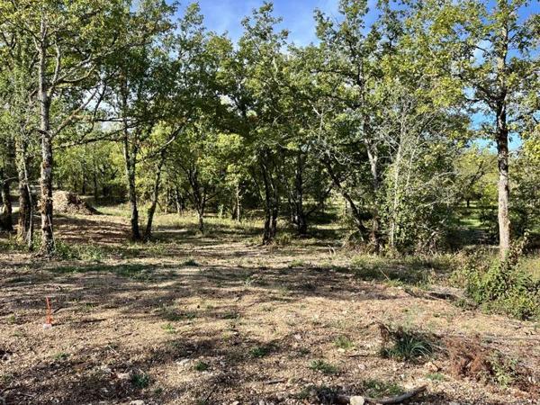 Terrain à vendre |  Lalbenque |  1318 m²