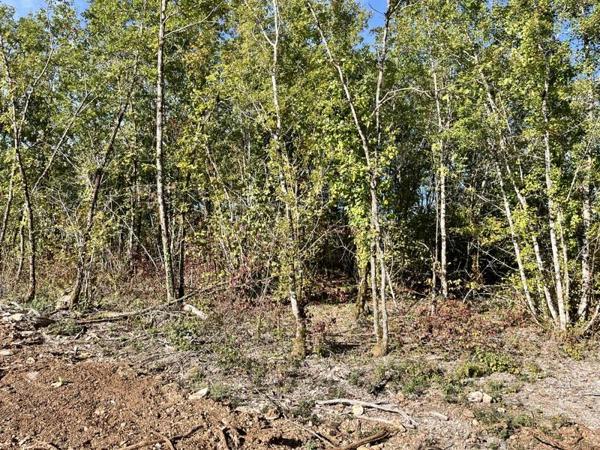 Terrain à vendre |  Lalbenque |  1318 m²