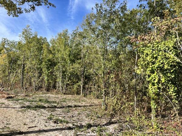 Terrain à vendre |  Lalbenque |  1318 m²