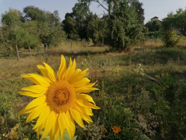 Vente Maison 5 pièces 87 m2 à Issoire