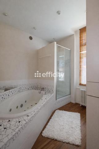 Maison 11 pièces - 167 m² Bien prestige