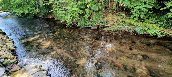 MAISON DE BOURG AUX CHARMES BUCOLIQUES