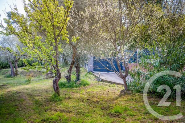 Maison à vendre  6 pièces - 170 m2 CONTES - 06