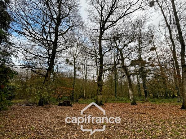 Authentique maison en pierre 10 pièces 220m² avec dépendances et parc arboré