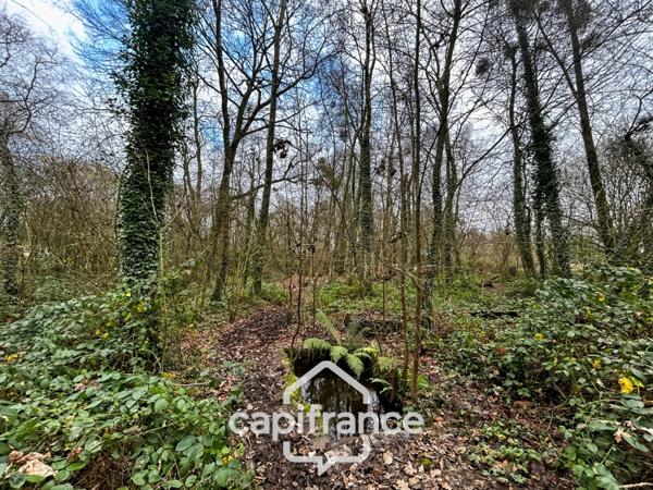 Authentique maison en pierre 10 pièces 220m² avec dépendances et parc arboré