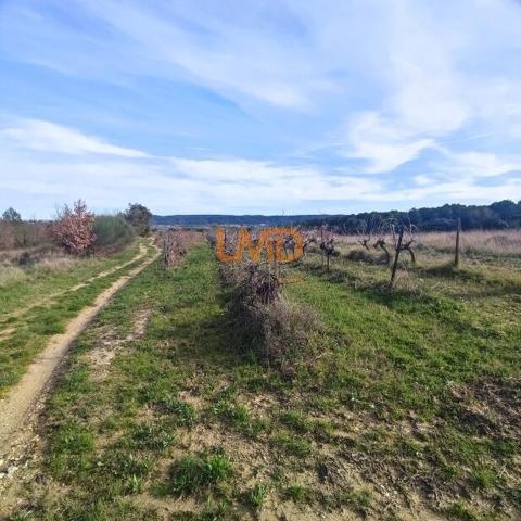 Terrain Agricole et de Loisir - Nature et grand espace