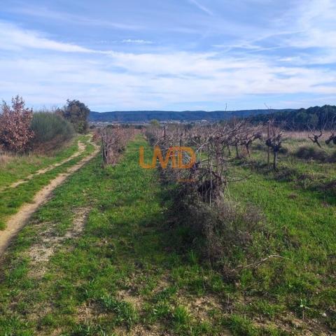 Terrain Agricole et de Loisir - Nature et grand espace