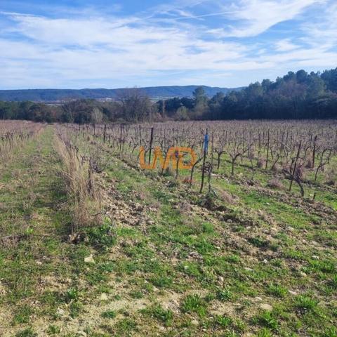 Terrain Agricole et de Loisir - Nature et grand espace