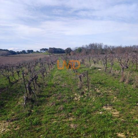 Terrain Agricole et de Loisir - Nature et grand espace