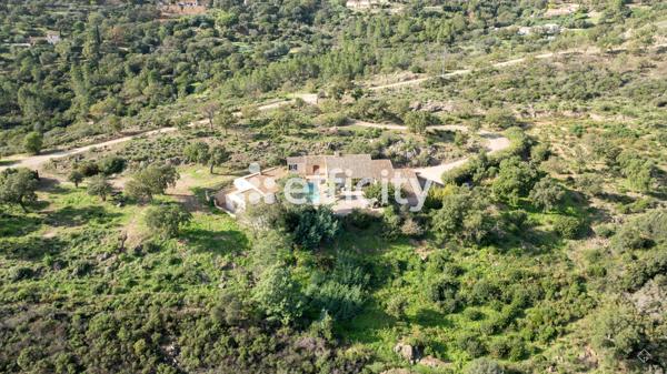 Maison 6 pièces - 190 m² Exclusivité efficity