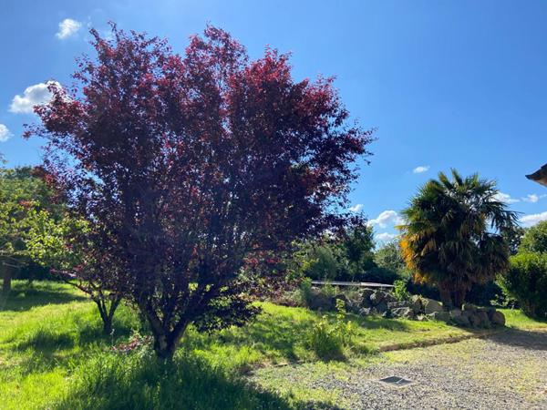 Longère Precigne 9 pièce(s) 230 m2