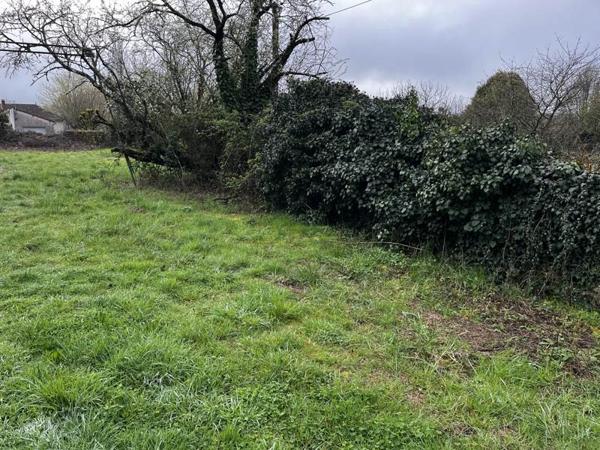 Terrain à vendre |  Saint-Léger-de-la-Martinière |  1260 m²