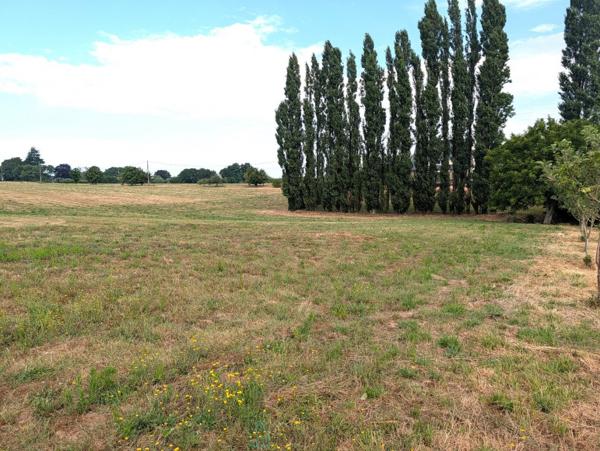 Propriété sur 27 hectares, maison 179 m2, bâtiments de 700 m2 salle de réception et 600 m2 garage